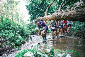 BIB: 
                            <button type="button" onclick="openModal(25466947)" class="btn btn-primary btn-sm float-right btn-popup" data-toggle="modal" data-target=".modal-high-quality">
                        <i class="fas fa-shopping-cart"></i> Add to Cart
                    </button>
                                            <button type="button" onclick="isThisMe(25466947, true)" class="btn btn-success btn-sm float-right btn-popup btn-isme hidden" data-toggle="tooltip" data-placement="bottom" title="นี่คือรูปของคุณใช่ไหม คลิกที่นี่เพื่อเอาเข้าอัลบั้ม">
                        <i class="fas fa-plus"></i> Add to album
                    </button>
                    <button type="button" onclick="isThisMe(25466947, false)" class="btn btn-warning btn-sm float-right btn-popup btn-isnotme hidden">
                        <i class="fas fa-ban"></i> Remove from album
                    </button>